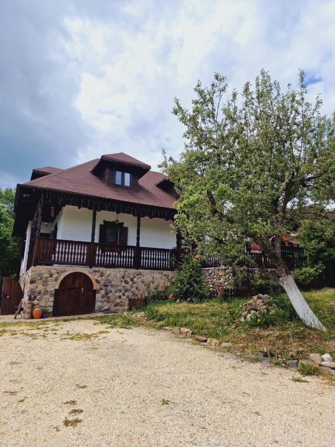 Villa Casa Cu Cerdac Nucşoara Esterno foto