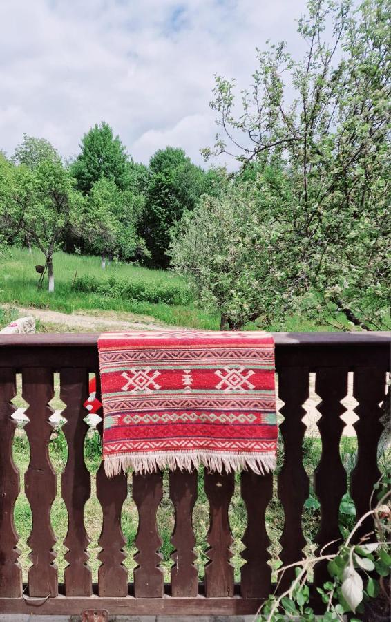 Villa Casa Cu Cerdac Nucşoara Esterno foto